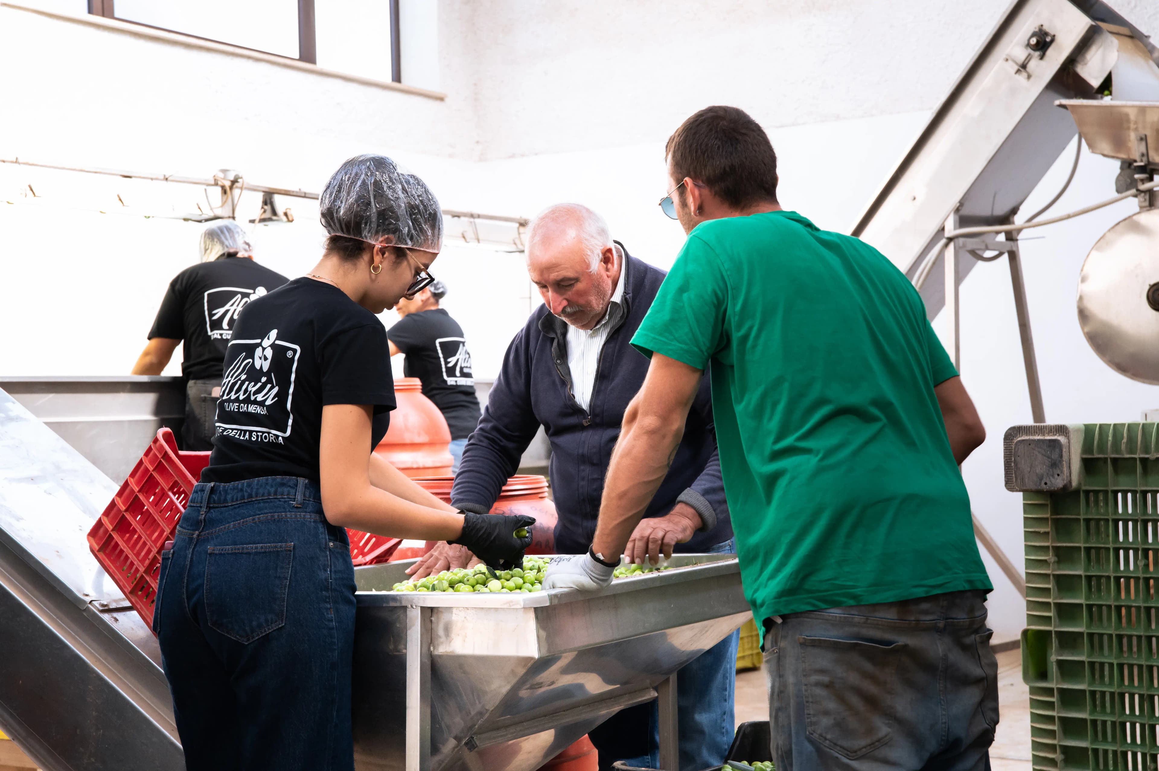 Aliviù — tradizione e territorio